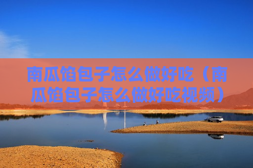 南瓜馅包子怎么做好吃（南瓜馅包子怎么做好吃视频）