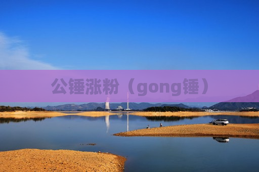 公锤涨粉（gong锤）