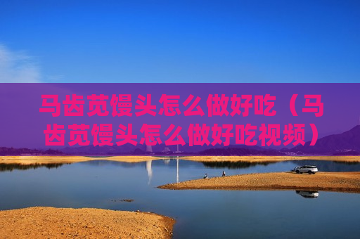 马齿苋馒头怎么做好吃（马齿苋馒头怎么做好吃视频）