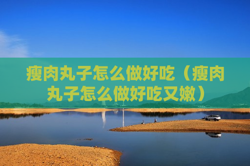 瘦肉丸子怎么做好吃（瘦肉丸子怎么做好吃又嫩）