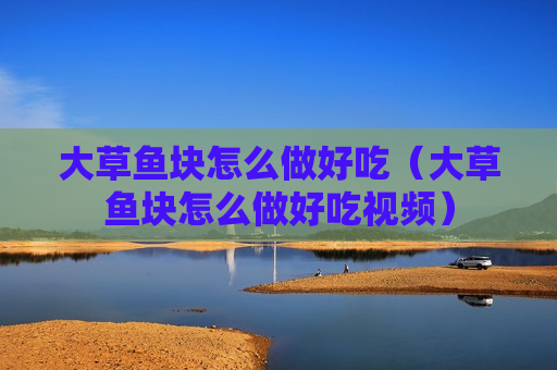 大草鱼块怎么做好吃（大草鱼块怎么做好吃视频）