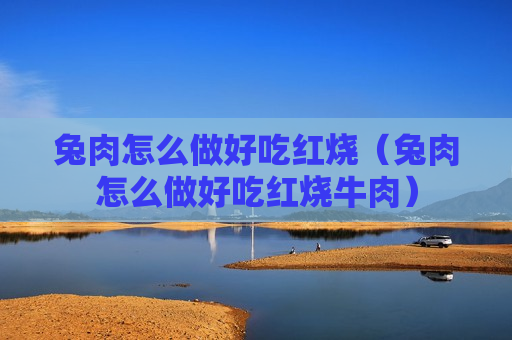 兔肉怎么做好吃红烧（兔肉怎么做好吃红烧牛肉）