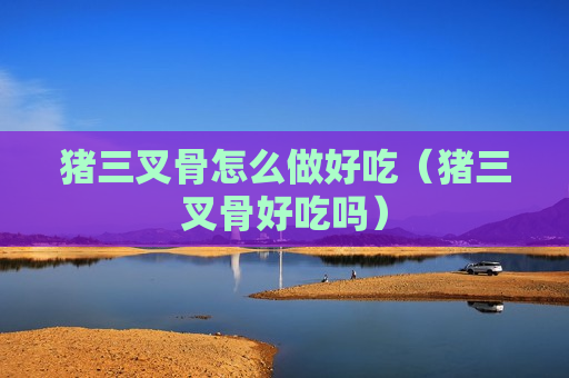 猪三叉骨怎么做好吃（猪三叉骨好吃吗）