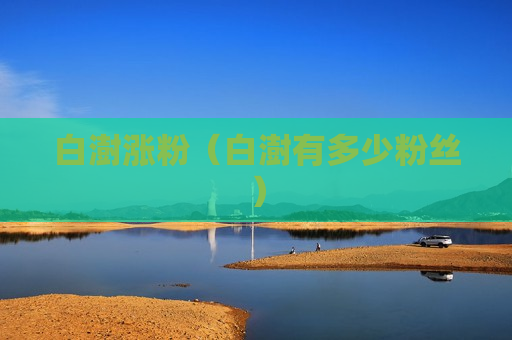 白澍涨粉（白澍有多少粉丝）
