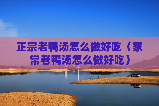 正宗老鸭汤怎么做好吃（家常老鸭汤怎么做好吃）