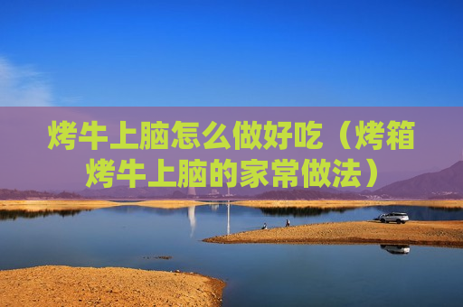 烤牛上脑怎么做好吃（烤箱烤牛上脑的家常做法）