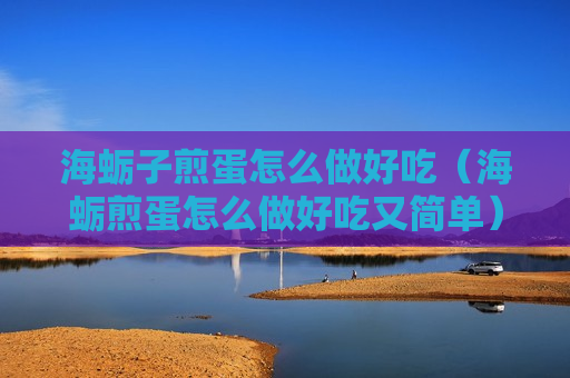 海蛎子煎蛋怎么做好吃（海蛎煎蛋怎么做好吃又简单）