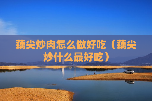 藕尖炒肉怎么做好吃（藕尖炒什么最好吃）