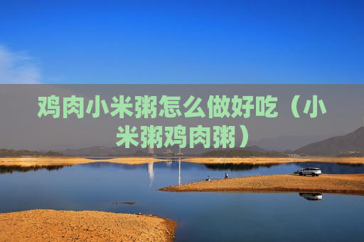 鸡肉小米粥怎么做好吃（小米粥鸡肉粥）