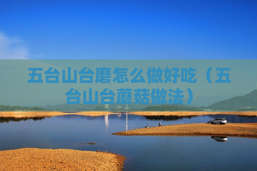 五台山台磨怎么做好吃（五台山台蘑菇做法）