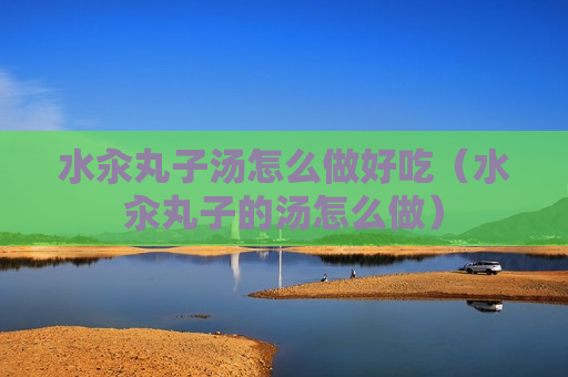 水汆丸子汤怎么做好吃（水汆丸子的汤怎么做）