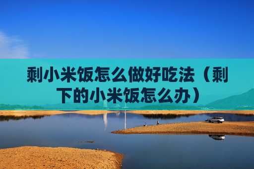 剩小米饭怎么做好吃法（剩下的小米饭怎么办）