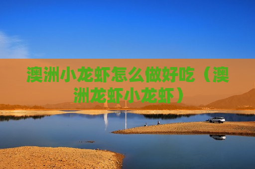 澳洲小龙虾怎么做好吃（澳洲龙虾小龙虾）