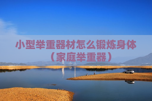 小型举重器材怎么锻炼身体（家庭举重器）
