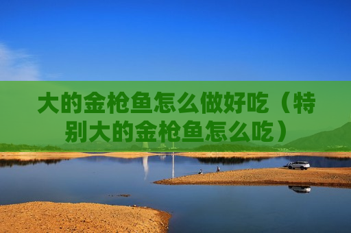大的金枪鱼怎么做好吃（特别大的金枪鱼怎么吃）