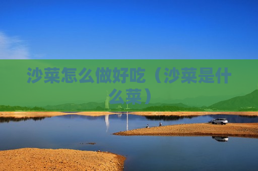 沙菜怎么做好吃（沙菜是什么菜）