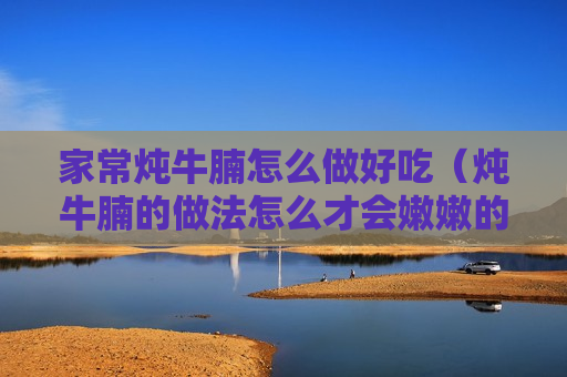 家常炖牛腩怎么做好吃（炖牛腩的做法怎么才会嫩嫩的窍门）