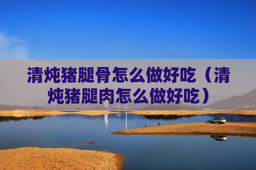 清炖猪腿骨怎么做好吃（清炖猪腿肉怎么做好吃）