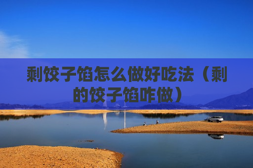 剩饺子馅怎么做好吃法（剩的饺子馅咋做）