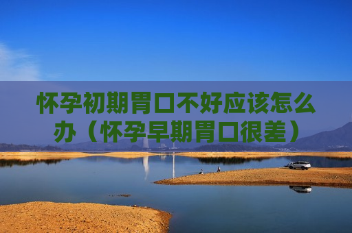 怀孕初期胃口不好应该怎么办（怀孕早期胃口很差）