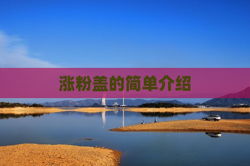 涨粉盖的简单介绍