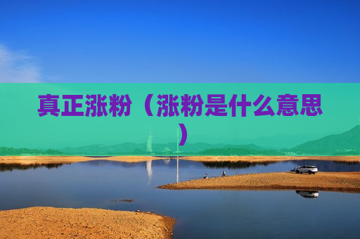 真正涨粉（涨粉是什么意思）