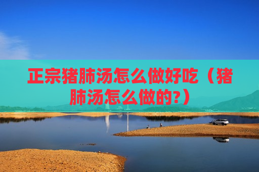 正宗猪肺汤怎么做好吃（猪肺汤怎么做的?）