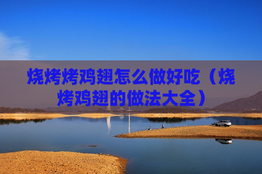 烧烤烤鸡翅怎么做好吃（烧烤鸡翅的做法大全）