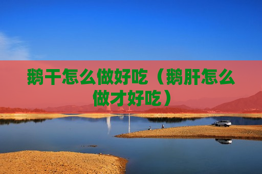 鹅干怎么做好吃（鹅肝怎么做才好吃）
