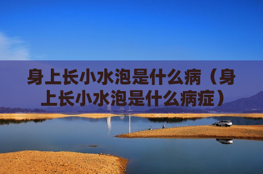 身上长小水泡是什么病（身上长小水泡是什么病症）