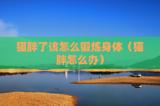 猫胖了该怎么锻炼身体（猫胖怎么办）