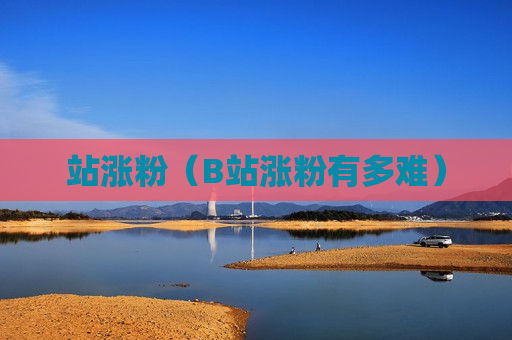 站涨粉（B站涨粉有多难）
