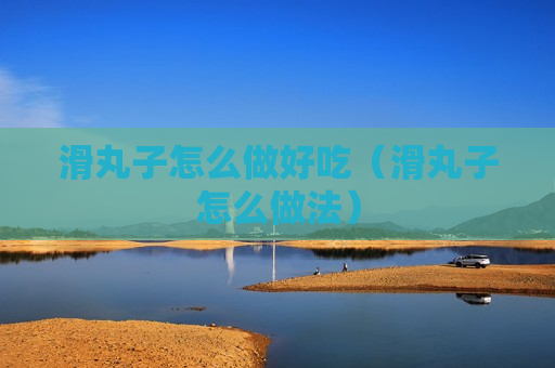 滑丸子怎么做好吃（滑丸子怎么做法）