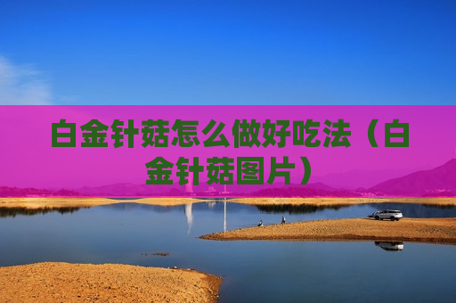 白金针菇怎么做好吃法（白金针菇图片）