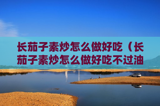 长茄子素炒怎么做好吃（长茄子素炒怎么做好吃不过油）