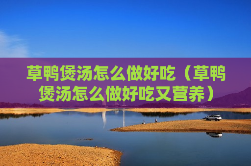 草鸭煲汤怎么做好吃（草鸭煲汤怎么做好吃又营养）
