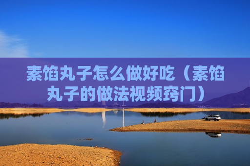 素馅丸子怎么做好吃（素馅丸子的做法视频窍门）