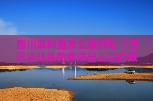 四川麻辣鱼怎么做好吃（四川麻辣鱼的做法最正宗的做法）