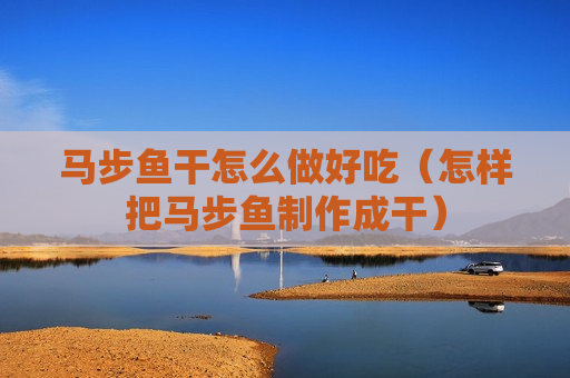 马步鱼干怎么做好吃（怎样把马步鱼制作成干）