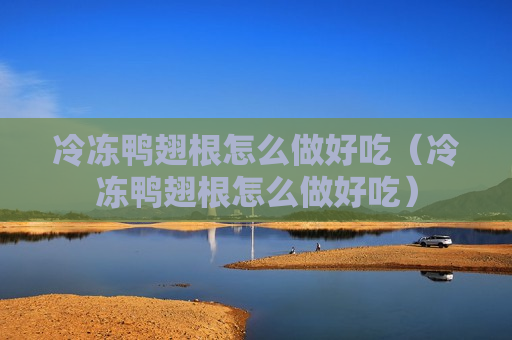 冷冻鸭翅根怎么做好吃（冷冻鸭翅根怎么做好吃）