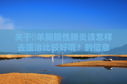 关于​羊胸膜性肺炎该怎样去医治比较好呢？的信息