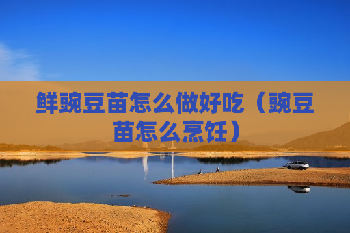 鲜豌豆苗怎么做好吃（豌豆苗怎么烹饪）