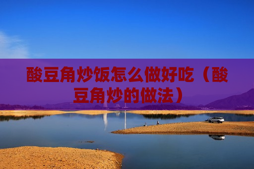 酸豆角炒饭怎么做好吃（酸豆角炒的做法）