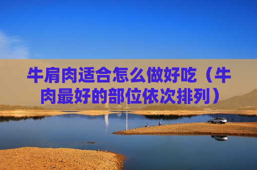 牛肩肉适合怎么做好吃（牛肉最好的部位依次排列）