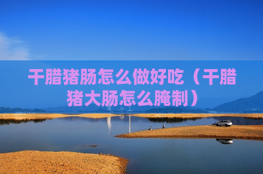 干腊猪肠怎么做好吃（干腊猪大肠怎么腌制）