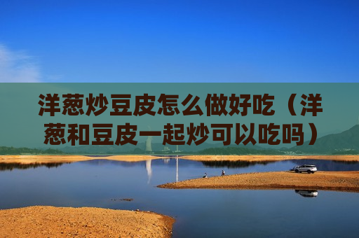 洋葱炒豆皮怎么做好吃（洋葱和豆皮一起炒可以吃吗）