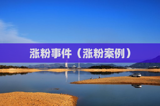 涨粉事件（涨粉案例）