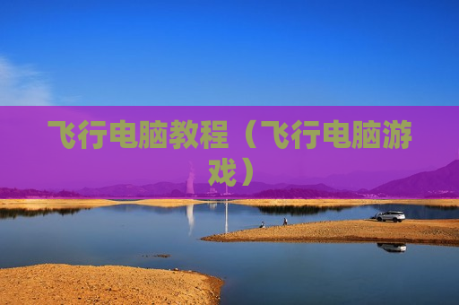 飞行电脑教程（飞行电脑游戏）
