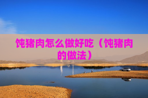 饨猪肉怎么做好吃（饨猪肉的做法）