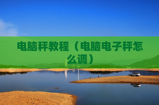 电脑秤教程（电脑电子秤怎么调）